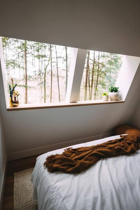 Dunlap Hollow A-Frame Rockbridge Exterior foto